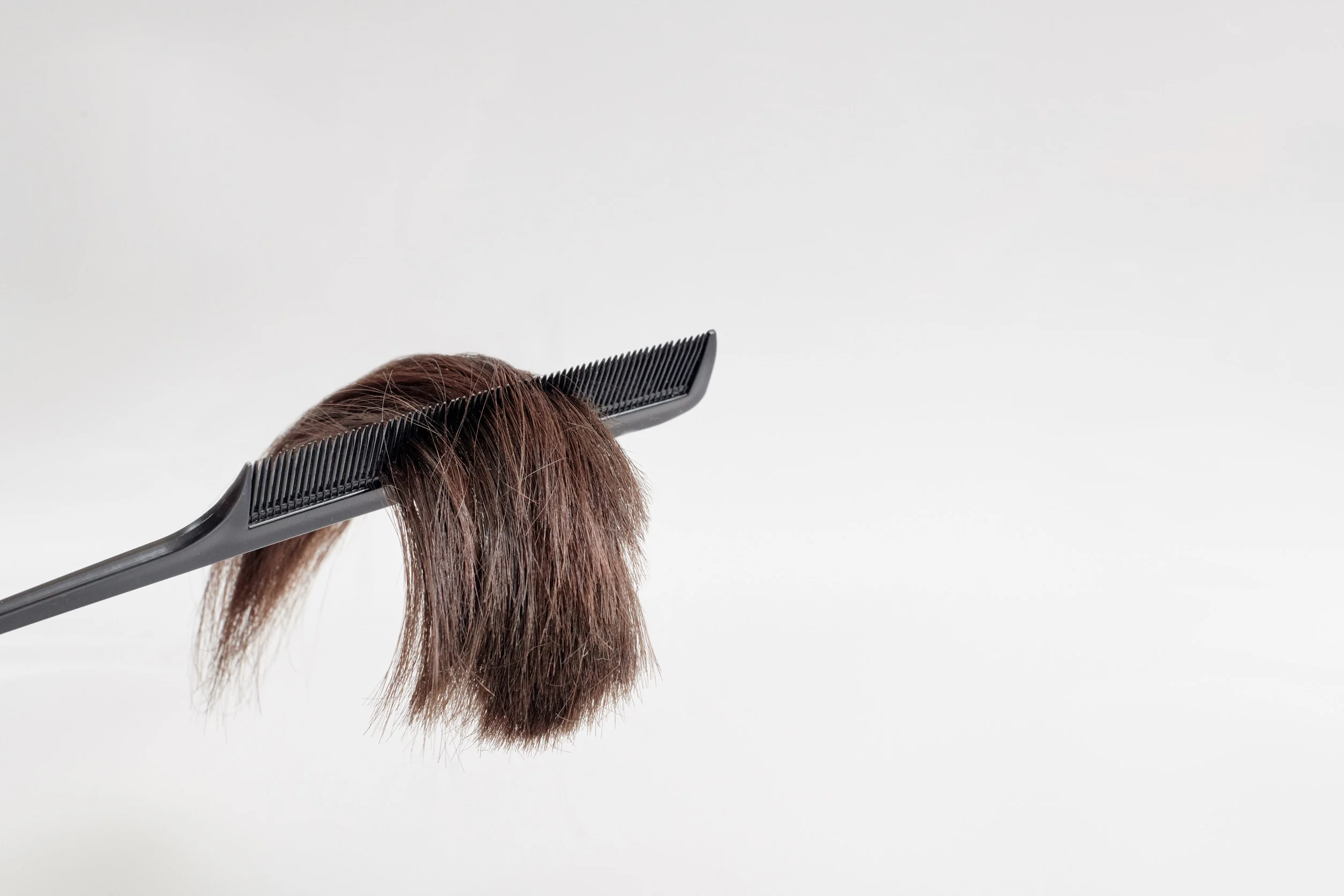 Una patch coutanea su di un pettine.